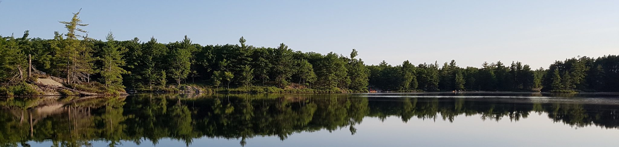 Loon Call Lake - Summer Newsletter - 2020 — Looncall Lake